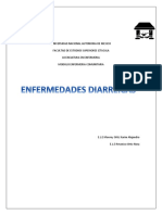 Rotafolio Enfermedades Diarreicas Terminado PDF