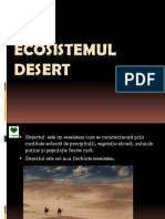 Ecosistemul Desert