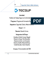 Análisis de Trabajo Seguro en La Actividad Laboral