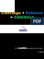 Liderazgo + Esfuerzo SINERGIA