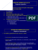 420-2014-02-24-11 Hidrocefalia ppt.pdf