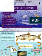 Ciclos Biogeoquimicos