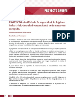 Instructivo proyecto grupal.pdf