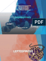 Leptospirosisvv