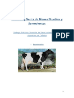 98094294 Tasacion de Vaca de CAbana Holando Argentino