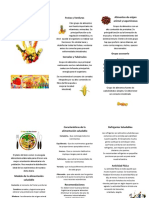 61007104-Alimentacion-Saludable-triptico.docx