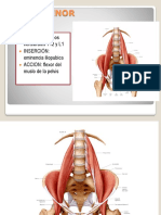 PSOAS