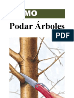 Cómo podar árboles de forma segura y saludable