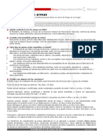 Ficha_Control de armas.pdf