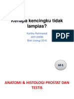 Kenapa Kencingku Tidak Lampias?: Kartika Rahmawati 405120099 Blok Urologi 2016