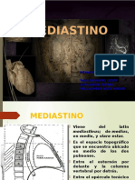 Mediastino Expo