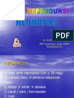 Neonatus