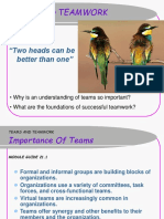Teams and Teamwork: "Two Heads Can Be Better Than One"