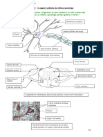 07corTP2(2).doc