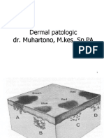 Dermal Patologic Dr. Muhartono, M.kes, SP - PA