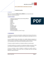 ensayo parafina.pdf