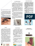 Síntomas y prevención de la fiebre de Chikungunya