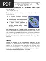 2 Observación de Organismos Unicelulares Protoctistas
