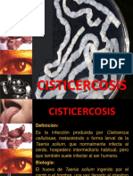 14.2. Cisticercosis - Mc. José Barletta Villarán