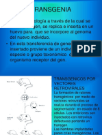 TRANSGENIA.ppt