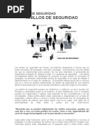 Anillos de Seguridad PDF |