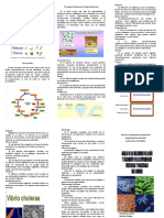 Triptico Enfermedades Infecciosas