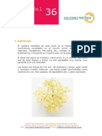 Cultivo+del+Sauco.pdf