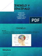 Cerebelo y Diencéfalo - pptx.1