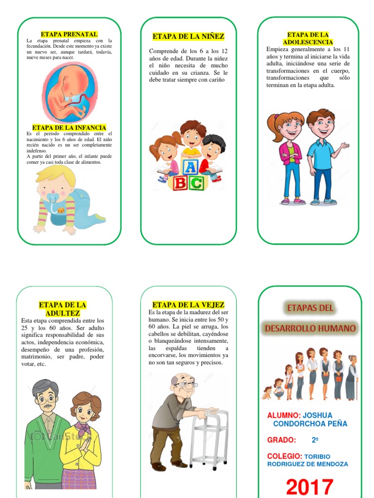 TRIPTICO Etapas Del Desarrollo Humano