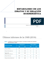 Metabolismo de Los Carbohidratos y Su Relación Bioenergética