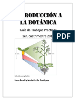 Guia TPBotanica 1 Er 2017 Completa