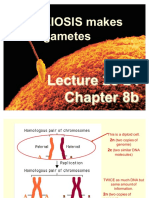 #23-24, CH 8b Meiosis 1210 Su'17 PDF