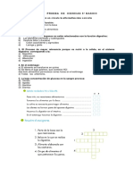 Prueba de Ciencias 5º Basico