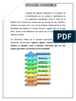 Clasificación taxonómica de los seres vivos en reinos, divisiones y especies