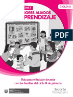 Guía Docente Ciclo III D-2017 PDF