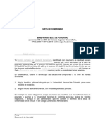 Carta Compromiso Acuerdo 070 2009 CA