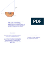 Biologia Materia