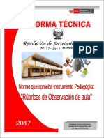 Ficha y Norma de Monitoreo 2017 - Rubricas PDF