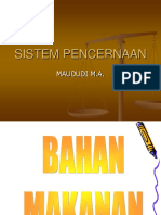 Sistem Pencernaan