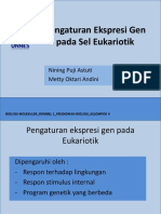 Pengaturan Ekspresi Gen Pada Eukariotik