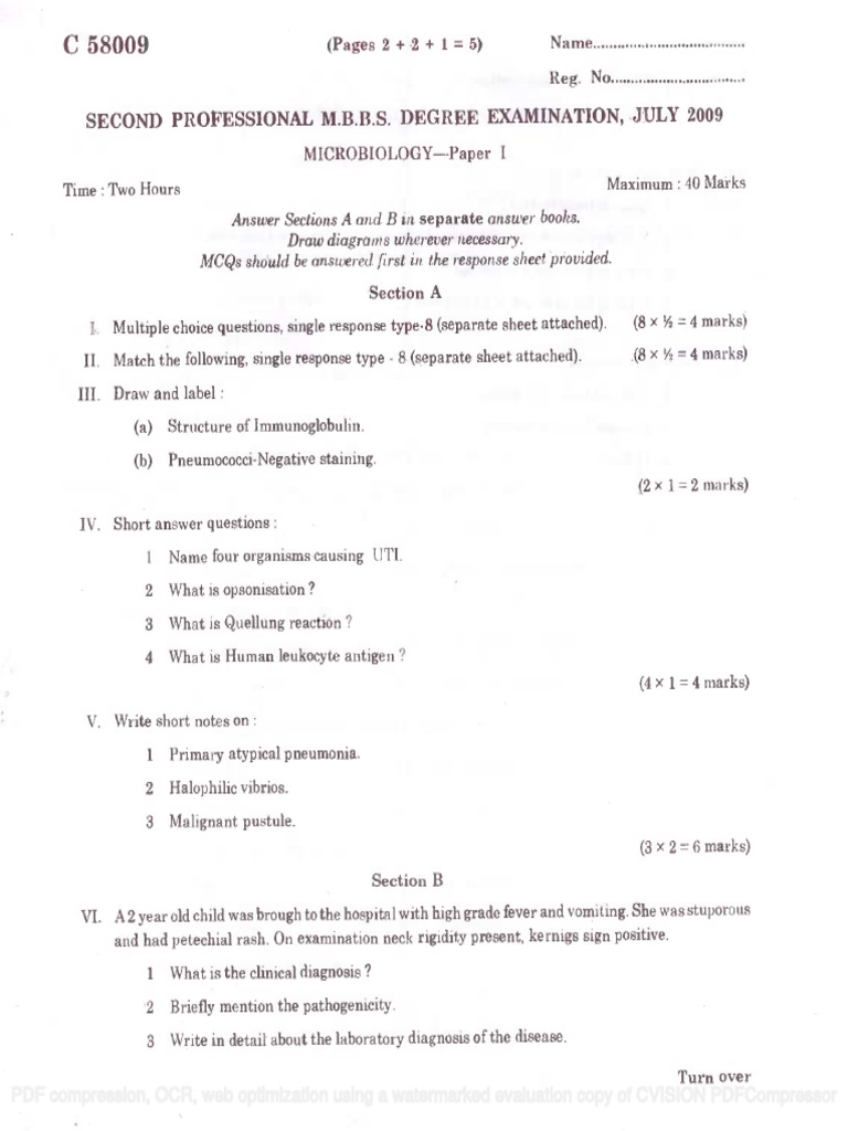 PDF Compression and OCR Optimization | PDF | Computers
