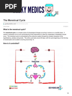 The Menstrual Cycle