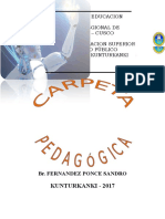 Carpeta Pedagogica