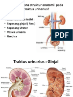 ppt lbm 8