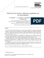 Gold Recovery From A Refractory Pyrrhotite Ore by Biooxidation