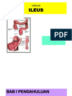 Bedah Digestif - SKD 2 - Ileus