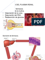 Depuración de La Plasma Renal