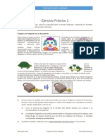 Practico 1 PDF