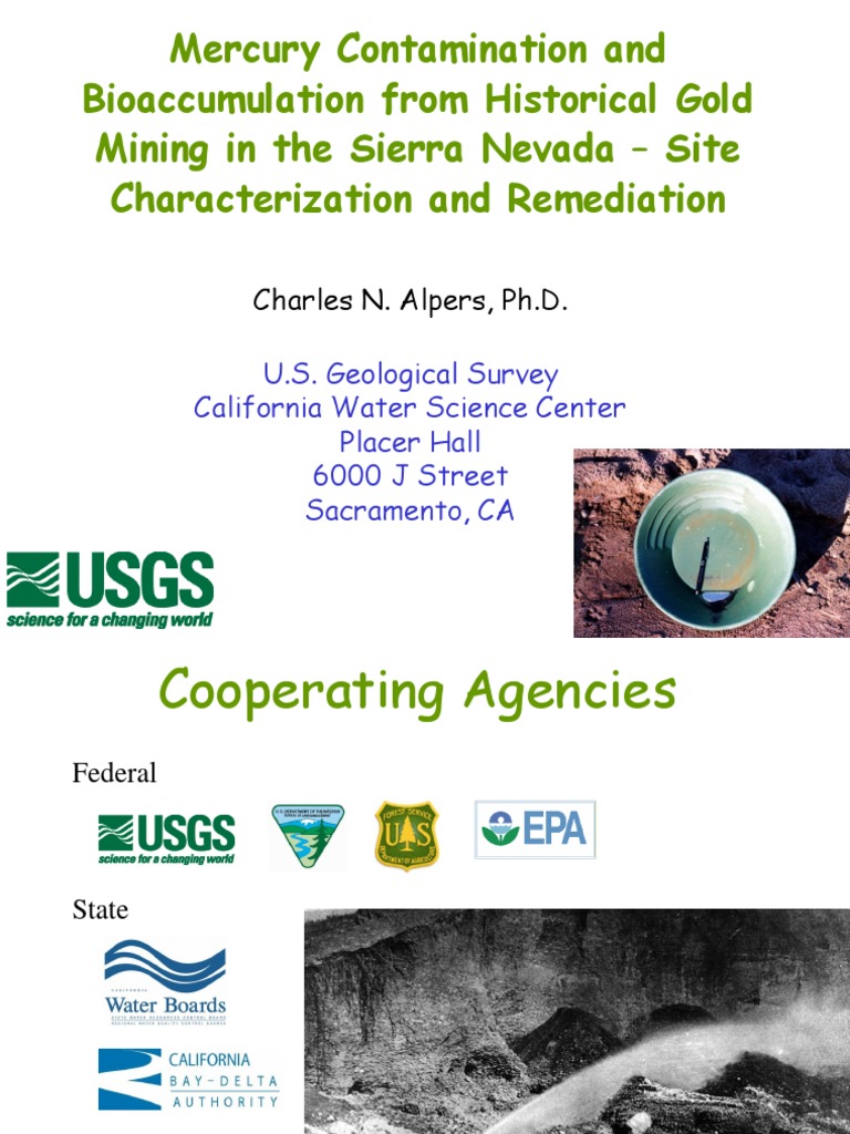 Mercury Contamination and Bioaccumulation From Historical Gold Mining ...