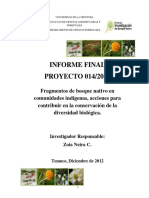 014 2010 Neira UFRO Informe Final